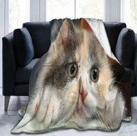 flannel throw blanket cute pocket cat cartoon gray cozysoft plush blankets for bed couch living room sofa chair