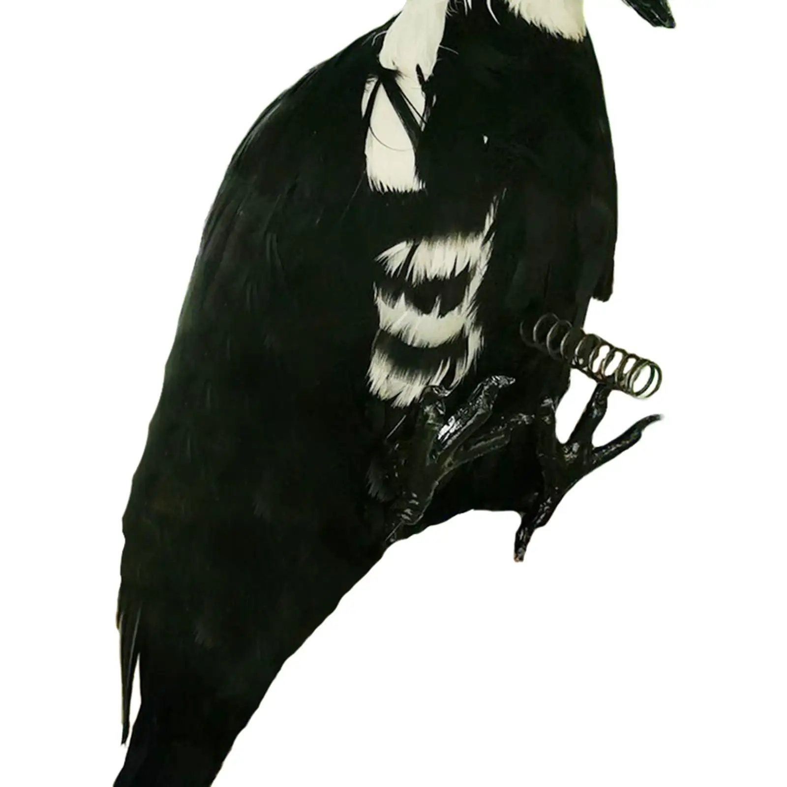 Моделирование дятел ручной работы весенняя статуя птицы для украшения домашнего