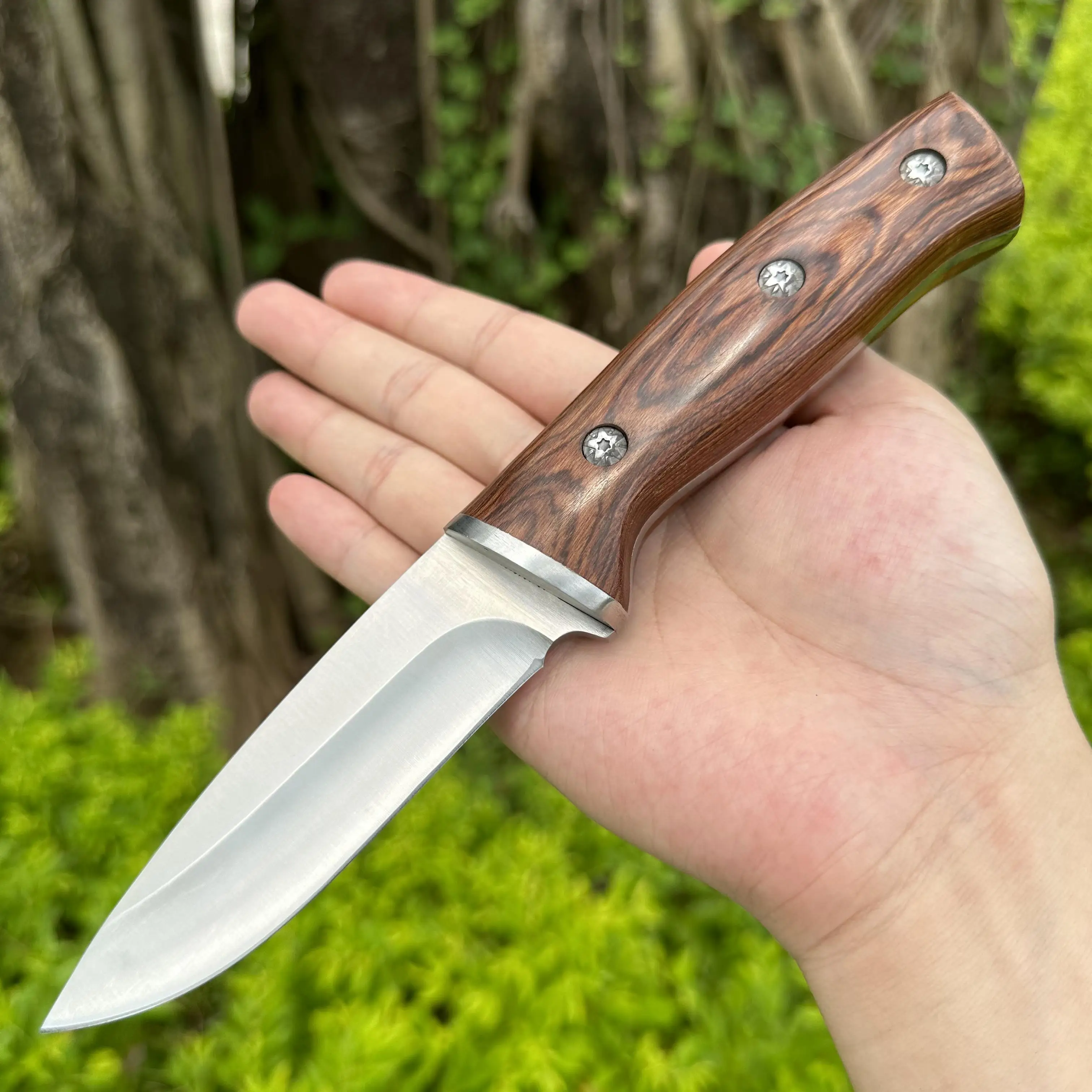 

Sharp Heavy Fixed 5cr13 Steel Blade Rosewood Handle Hunting Knife With Nylong Sheath Fishing Hiking Camping Portable Knife