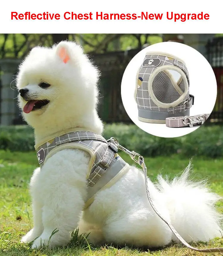 

Stylish Plaid Cat Harness for Cats Summer Mesh Pet Harness Set Pet Dog Reflective Dog Leash Small Dog Vest Style Pet Leash