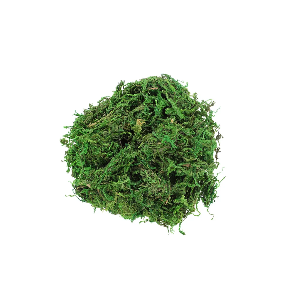 

3 Bags Bonsai Decorative Moss Landscaping Dried Lichen Fresh Bonsai Decorative Moss for Bonsai Flowerpot Wall