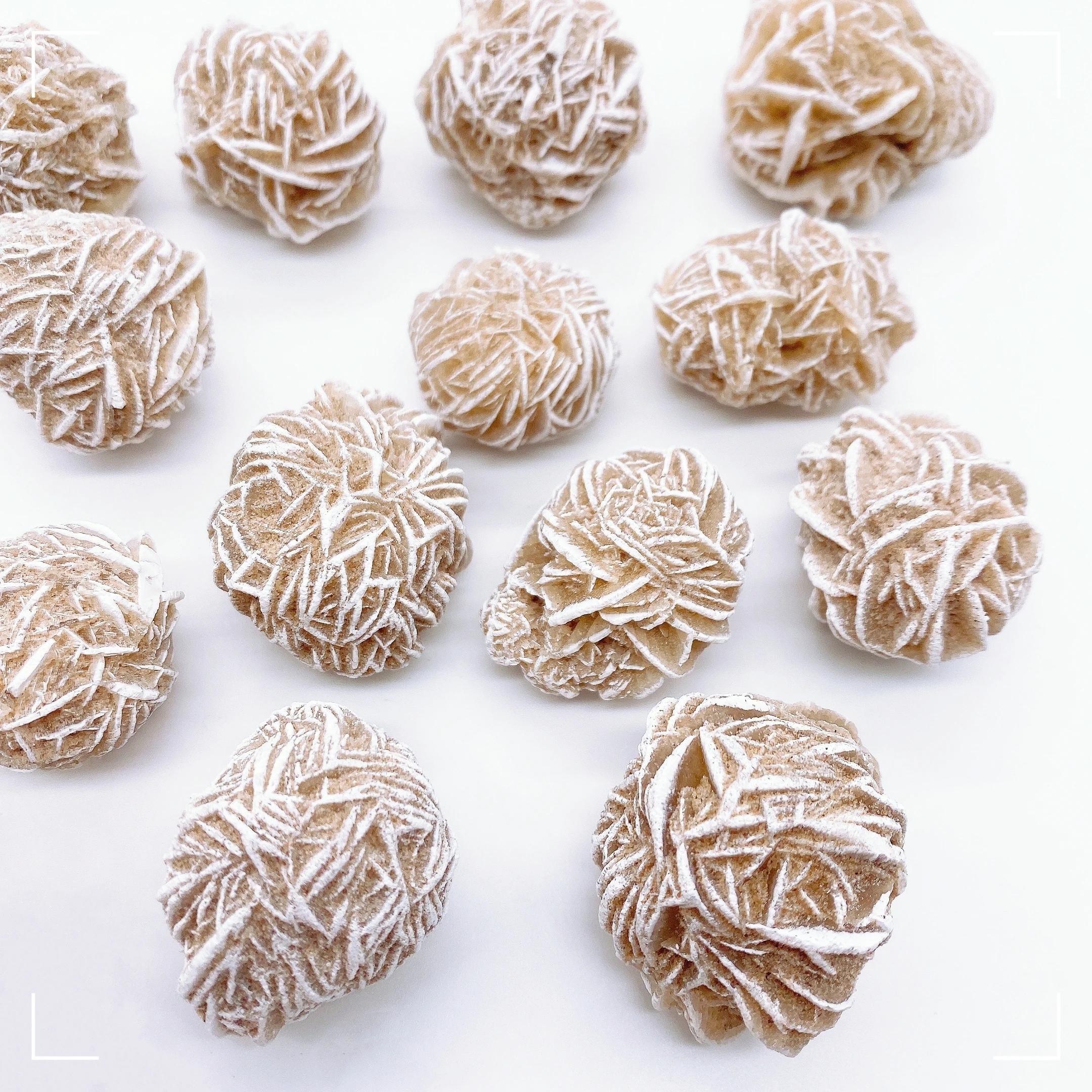 Натуральный пустынный росa 25-40 мм