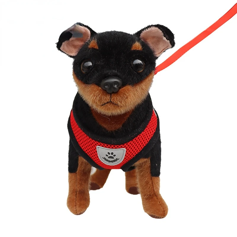 

Dog Leash Harness Set, Dog Collar Mesh Breathable Vest Type Pet Harness Leash Clothes Dogs Accessoires