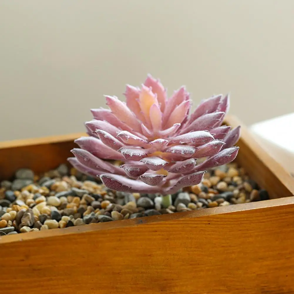 

Lightweight Artificial Plants Realistic PVC Artificial Small Succulents Plants Simulation Succulents Simulation Succulents