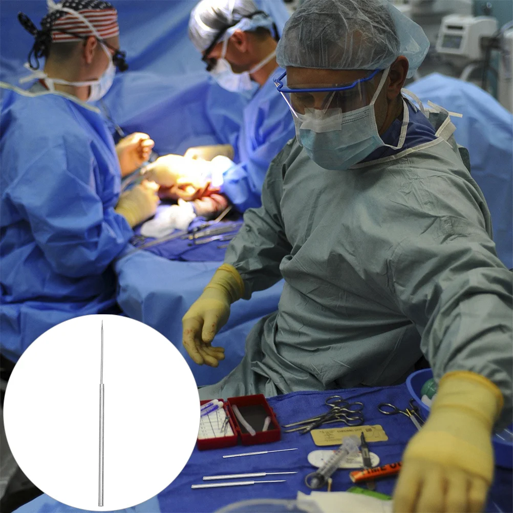 

Needle Dissecting Dissection Metal Biological Anatomy Tools Tool Anatomical Sample Fine Surgery Ended Single Accessory