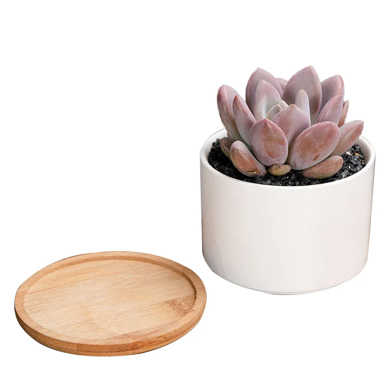 Strongwell украшение цветочный горшок домашний садовый декор простой цилиндр белый