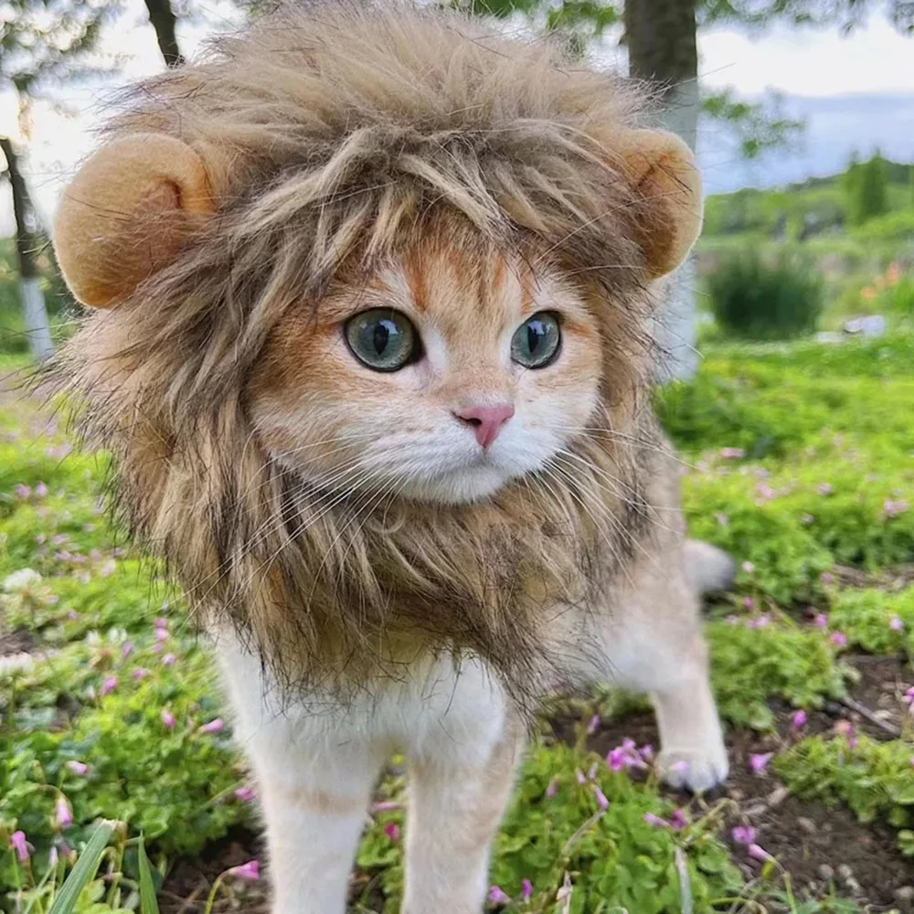 

Fancy Cat Costume Pet Clothes Cap Cute Cat Wig Lion Mane Costume Cosplay Kitten Small Dog Hat with Ears Funny Pet Party Supplies