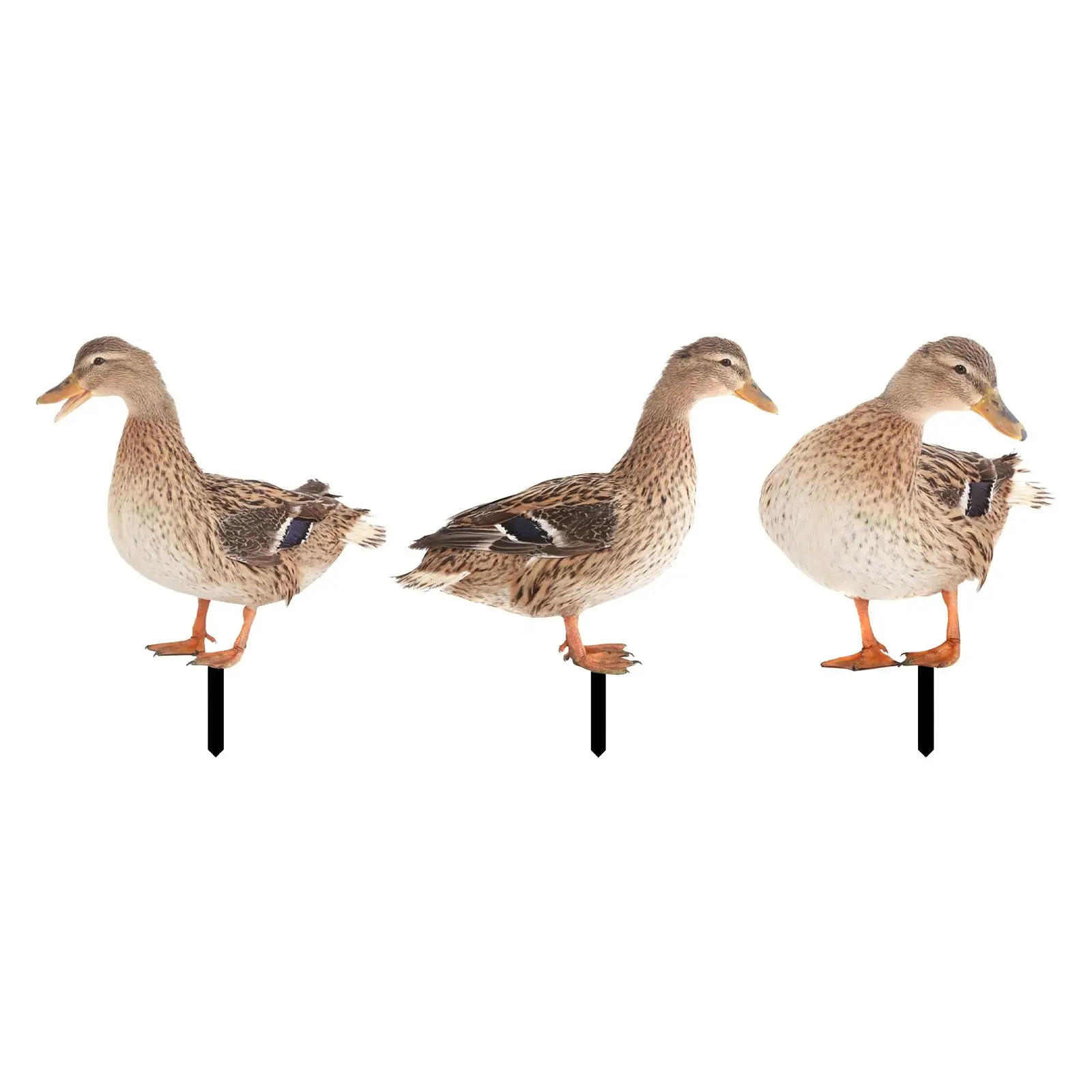 

Duck Garden Stake flat gardens Stakes Figures Yard Sign Easter decor Card for Courtyard Backyard Farmhouse Outdoor Pathway