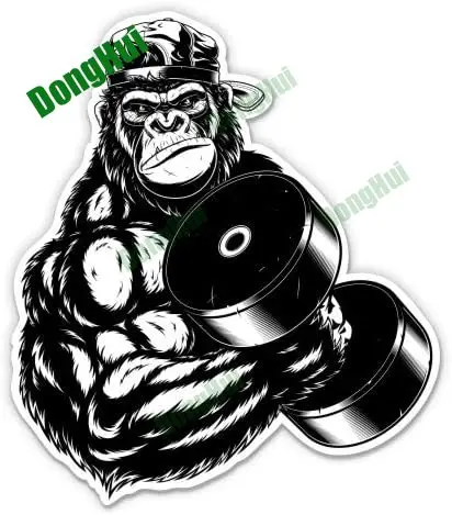 

Chimpanzees Exercise Muscles Car Stickers Orangutan Power Rear Windshield Helmet Tablet Camper Van Skateboard Motorcycle Decals