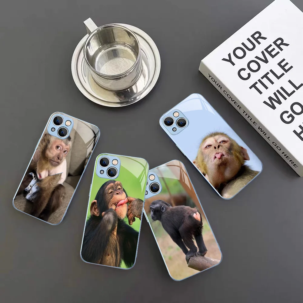 Чехол для телефона Monkey Sipping Caprisun Meme iPhone 14 13 12 Mini 11 Pro XS Max X XR Plus чехол из закаленного