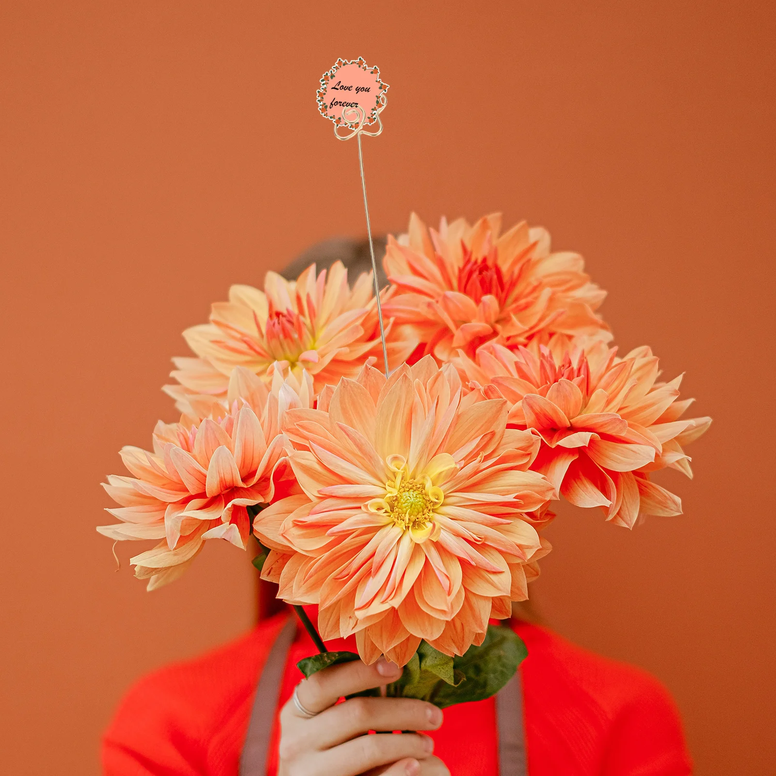 30 шт. папка для заметок держатели упаковки букетов стальные зажимы цветов