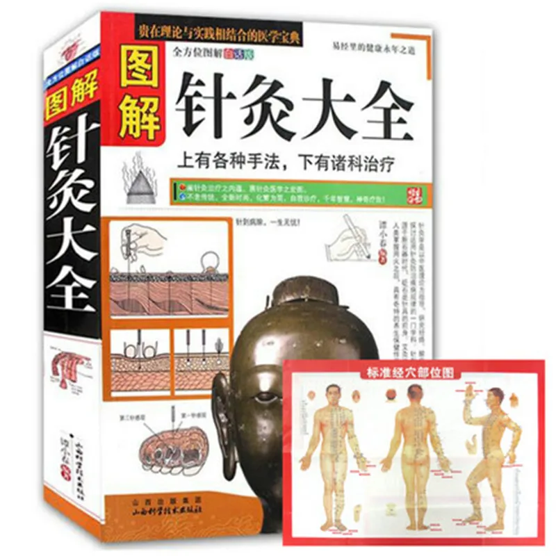 

Иллюстрация акупунктурных точек Φ 1pc