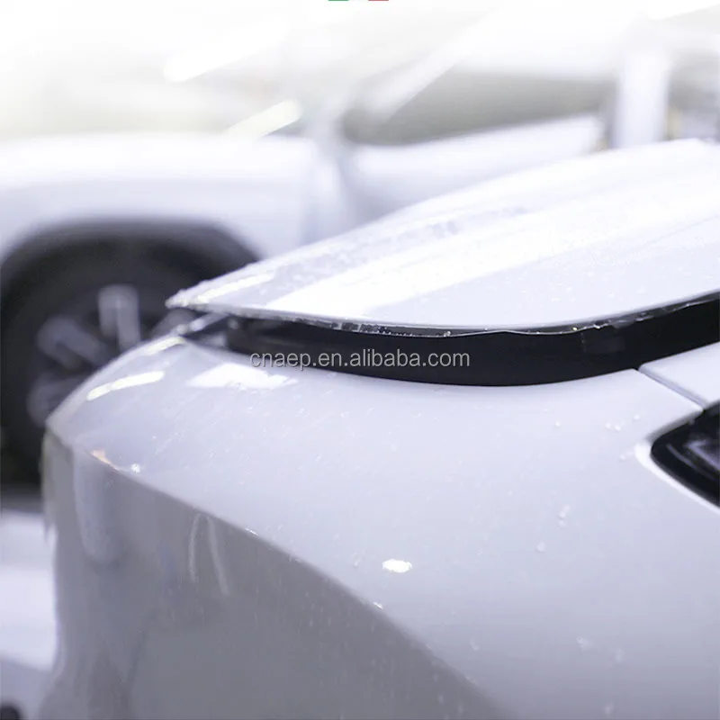 Рисунок 3 - Термозащитная пленка для Tesla