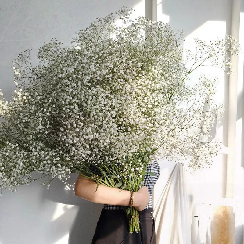 

Natural Gypsophila Baby Breath Dried Flower Bouquet Valentine Day Gift Wedding Party Decoration Preserved Paniculata Home Decor