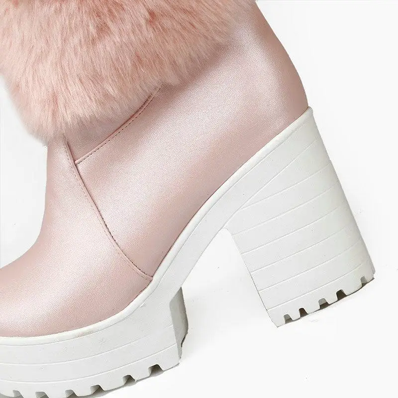 Winter New Women Snow Boots Waterproof Platform High Heel Thick Plush with Sweet Bow Women's Boots Comfortable Boots