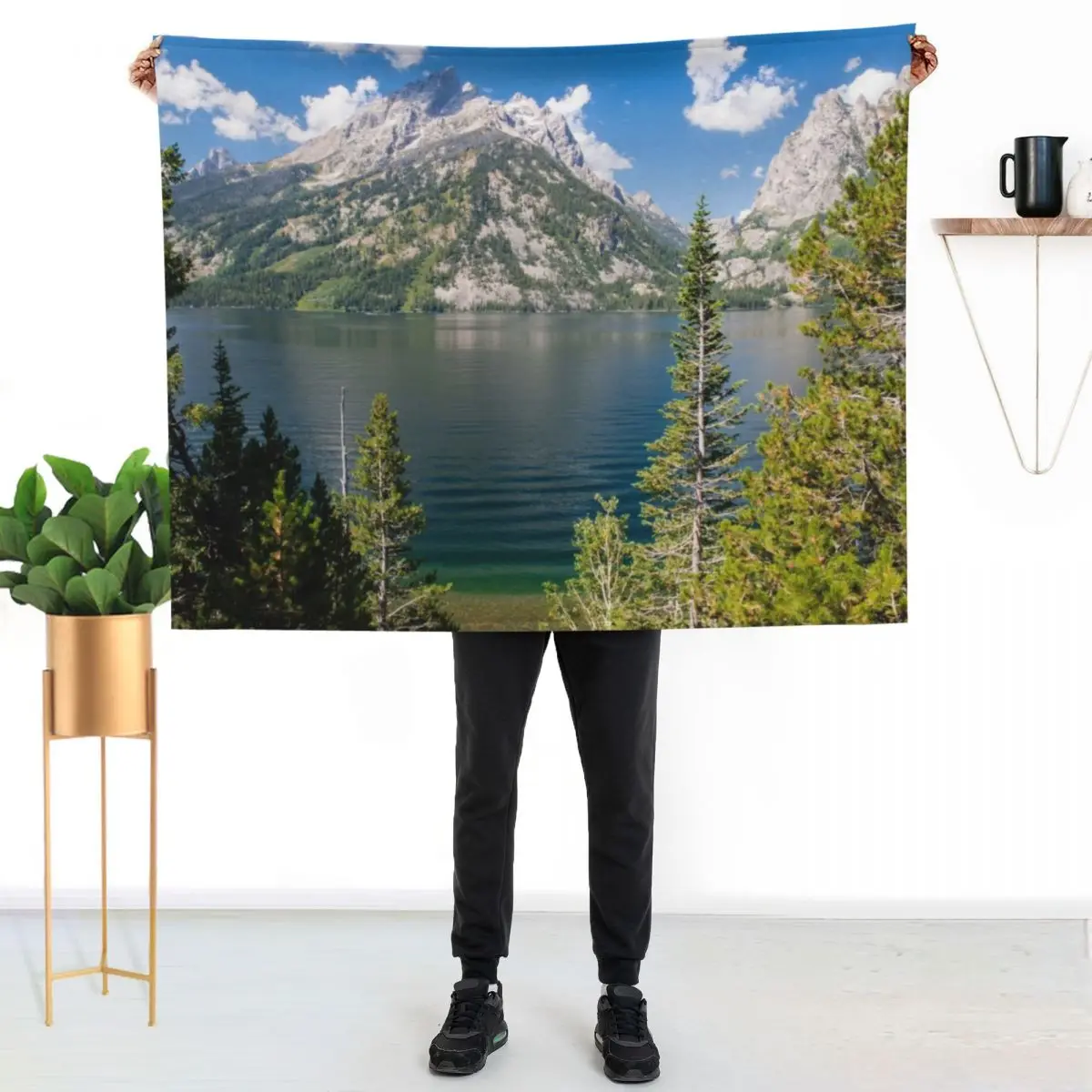 Фото Плед Jenny Lake, Национальный парк Гранд-Тетон, Вайоминг, пушистый плюшевый плед для дивана и кресла №2
