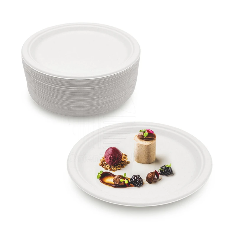 

Camping 100% Eco-Friendly 7 inch Heavy-Duty Disposable White Appetizer/Dessert Bagasse Paper Plates [125-Pack]