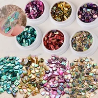 1box colorful nail art shell pieces 3d irregular fragments ornaments diy charm manicure accessories shell pieces decorations