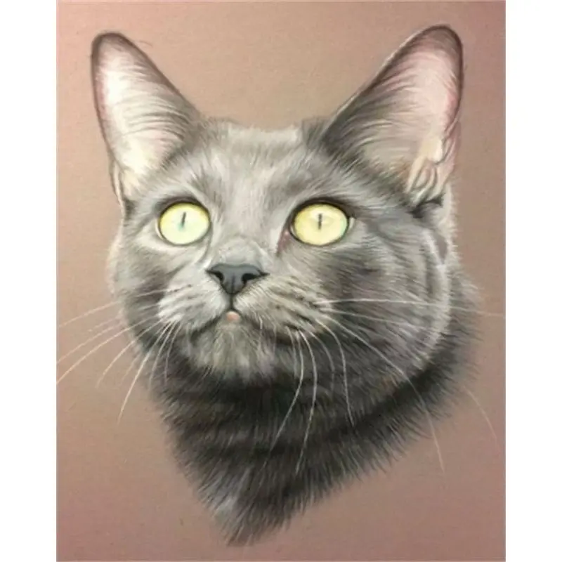 

CHENISTORY Painting By Number Cute Cats Animal Drawing On Canvas Gift DIY Pictures By Numbers HandPainted Home Decor