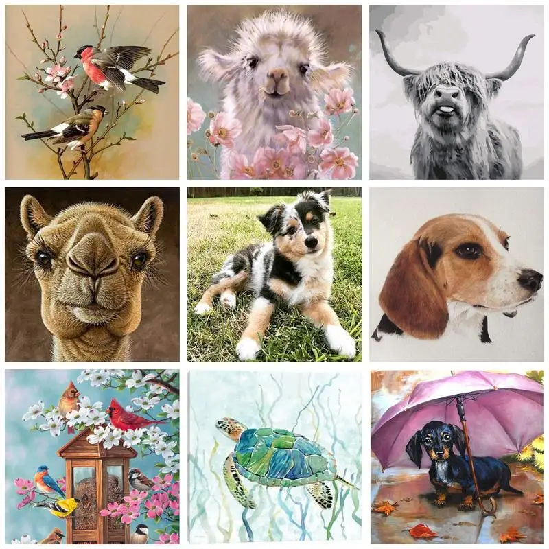 

CHENISTORY Modern Painting By Numbers Animals Dog Bird Sheep For Adults Kids Gift Wall Art On Canvas Handmade Acrylic Paints
