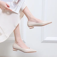 new women pointed toe shallow flats woman ballerina slip on moccasins microfiber leather shoes solid low heels loafers