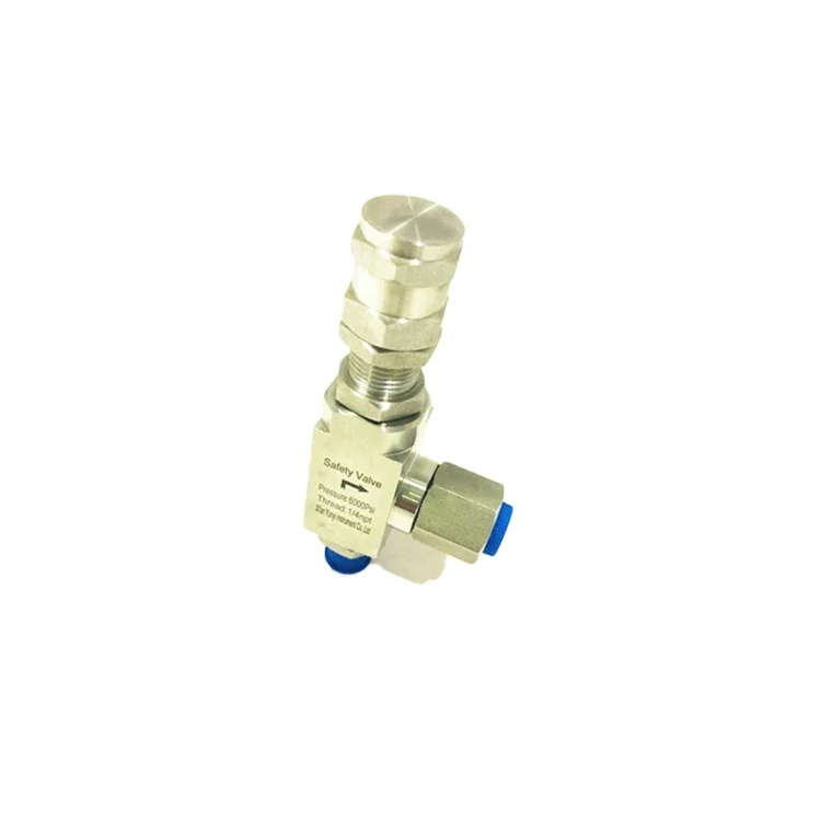 

High temperature Steam boiler ss316 safety valve