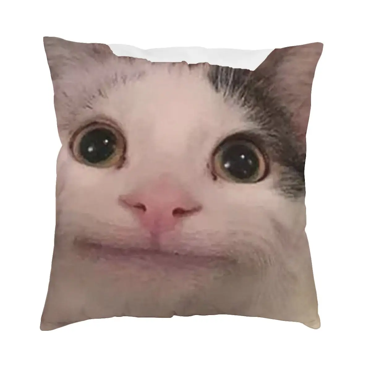 

Polite Cat Meme Pillowcase Soft Cushion Cover Decorations Throw Pillow Case Cover Home Square