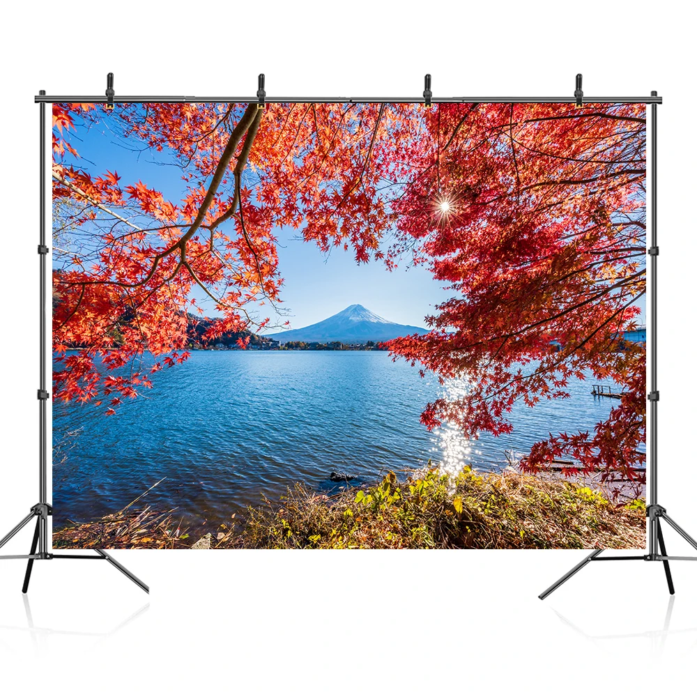 Осенний лес природа пейзаж Фотография фоны детский портрет фотосессия 3D декор