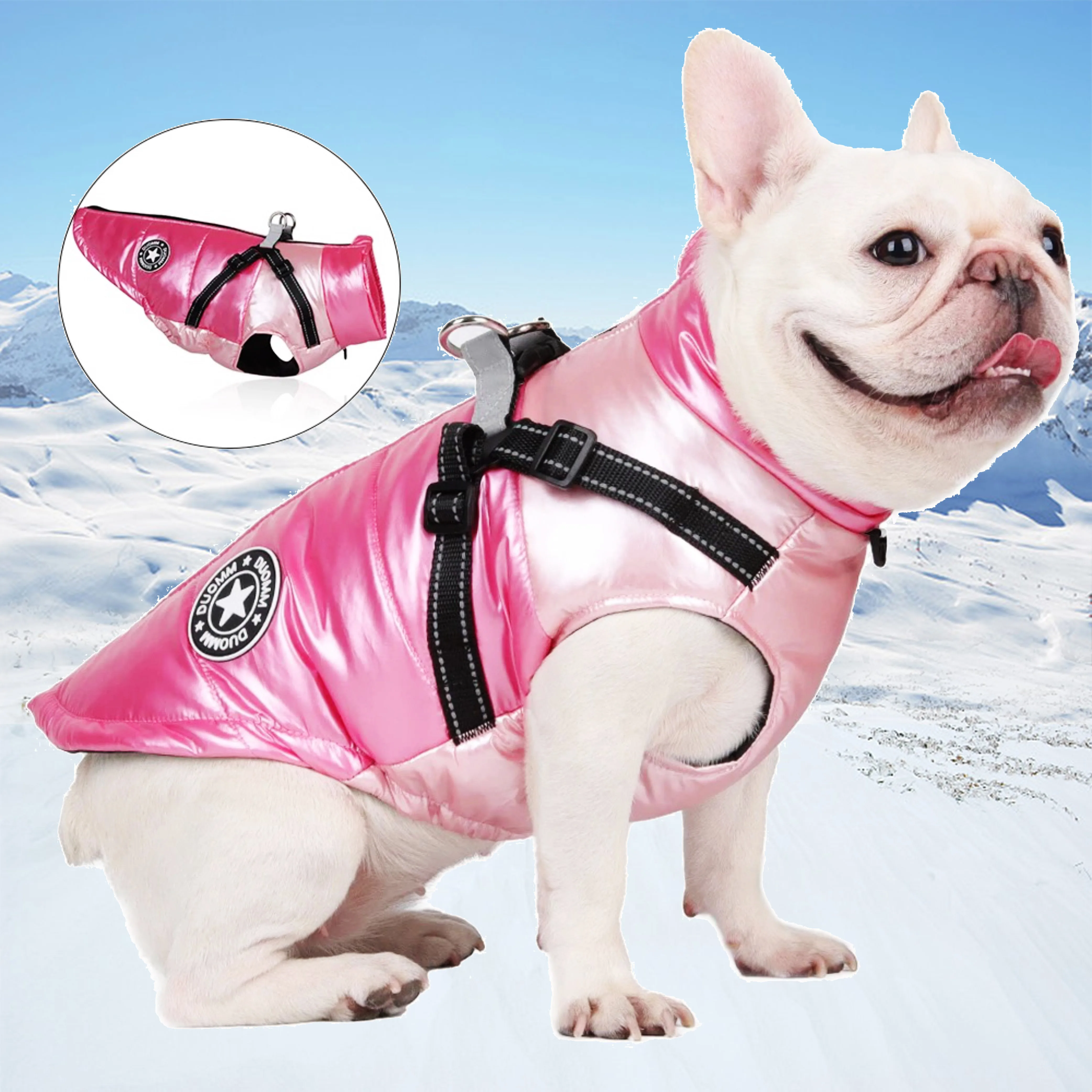 

Зимняя одежда для домашних питомцев, теплая одежда для собак, устойчивая одежда для щенков, водонепроницаемая жилетка для домашних животных, куртка для маленьких, средних и больших собак, Золотое извлечение