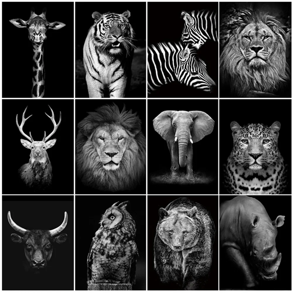 

Алмазная мозаика 5D «сделай сам», черная белая картина с искусственными стразами, с изображением оленя, слона, полная Алмазная вышивка, набор...