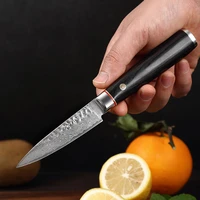 kitchen knives professional fruit knife chef paring knives damascus steel knife utility knives chef paring slicing boning knife