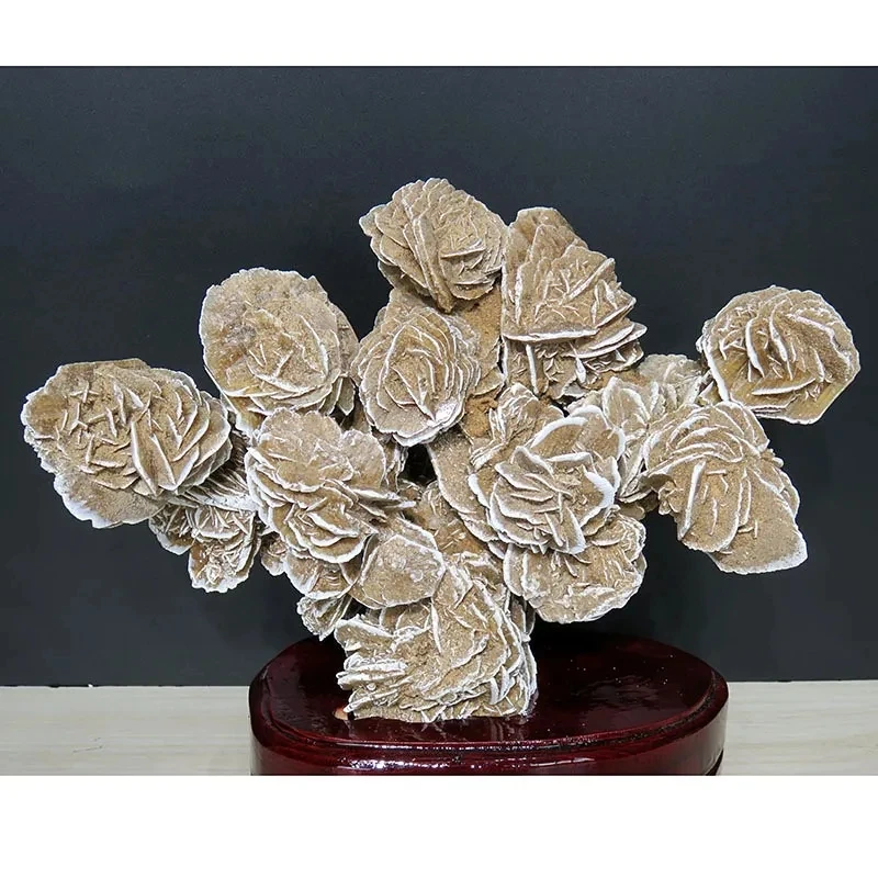 

Nature Desert Rose Stone Stone Ornaments Stone Stone Stone Natural Stone Gypsum Mineral Crystal Crystal Stone Wind Burriter