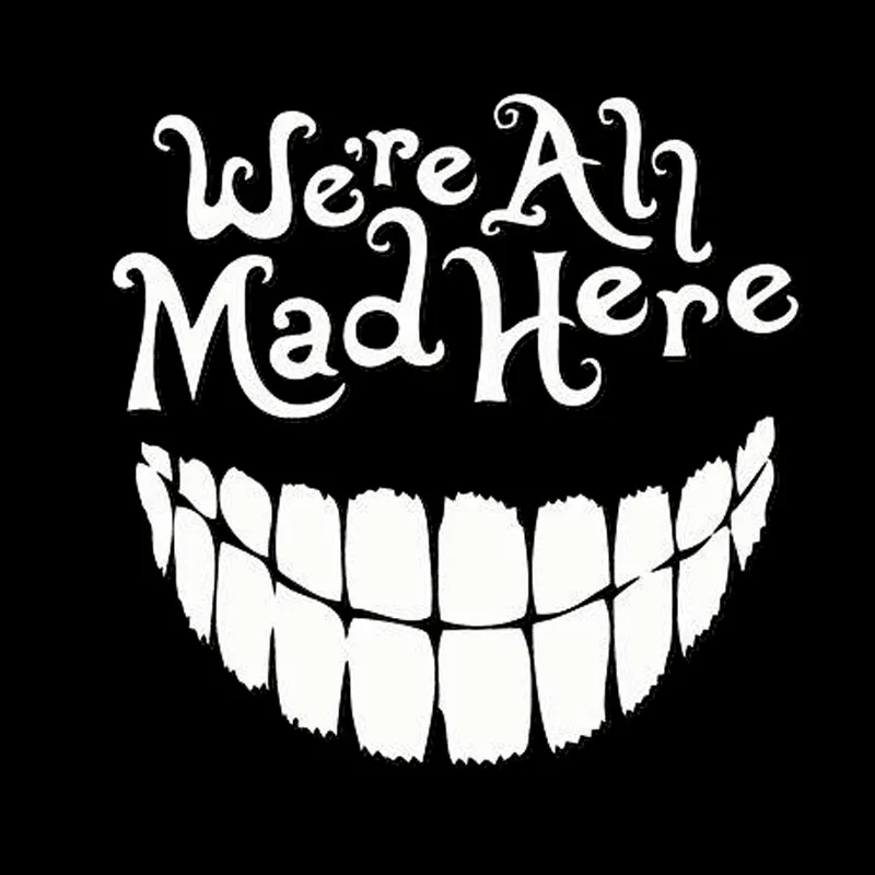 

Забавная наклейка для автомобилей мы все здесь сумасшедшие с большим снежным украшением Солнцезащитная Водонепроницаемая Светоотражающа...