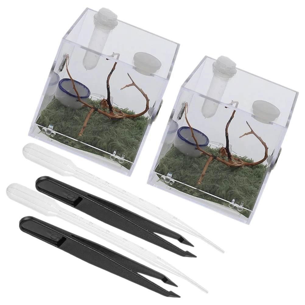 

Spider Terrarium Jumping Enclosure Accessories Acrylic Snail Container Insect Habitat Cage