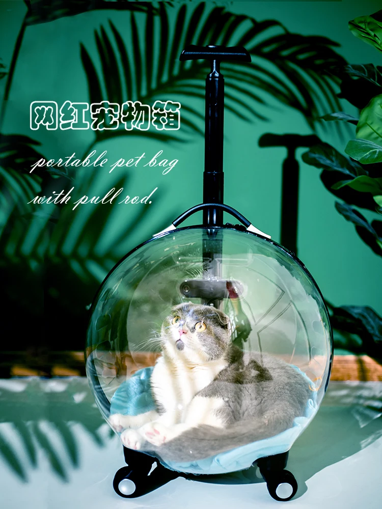 

Прозрачная сумка на колесиках для домашних животных, переносной вместительный рюкзак для кошек, прогулочная коляска, космическая капсула