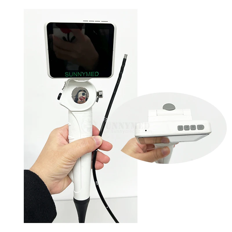 

SY-WP029-3 Professional Gastroscope Endoscopy Instrument Cost-effective Flexible Endoscope with HDMI for Animal
