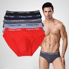 5 Pcs/lot Men's Panties Modal Men's Underwear New Briefs Men Bamboo Fiber Mens Bodysuit Male Comfort