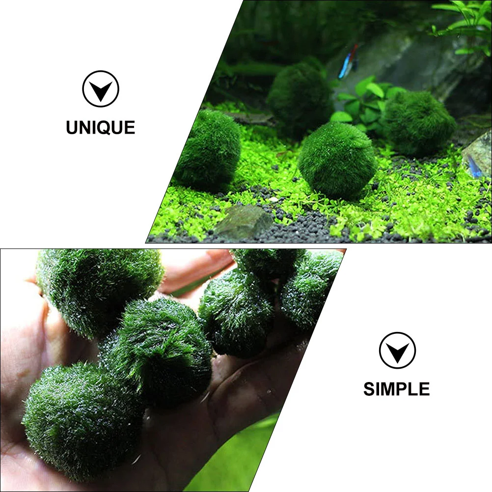 10 шт. шарик для водорослей в аквариуме украшение аквариума гидропонные шары
