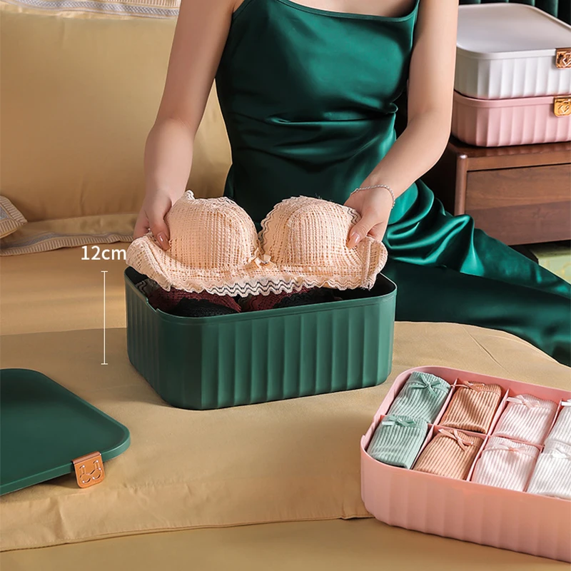 

5 10 15 сеток Органайзер для хранения нижнего белья для одежды Раздельные носки Шорты Ящики для хранения бюстгальтеров Органайзер для ящиков ...