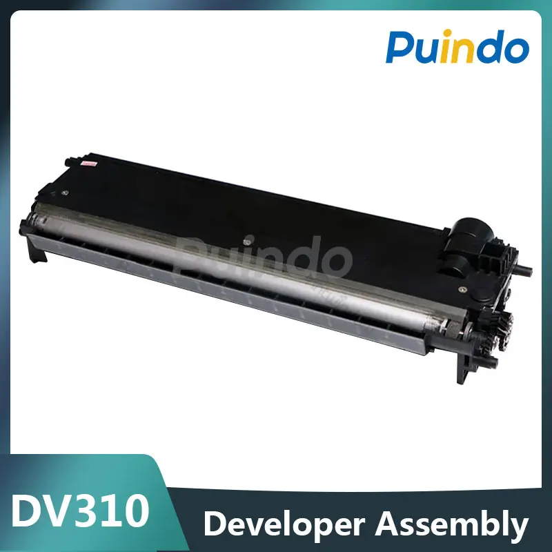 Рисунок 1 - DV310 4040-0752-00 Z905714300 игровой