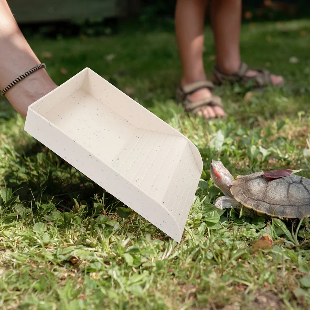 

Tortoise Food Dish with Ramp Reptile Feeding Dish Basking Platform Tortoise Habitat Accessory
