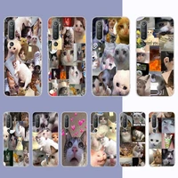 crying cat memes phone case for samsung s21 a10 for redmi note 7 9 for huawei p30pro honor 8x 10i cover