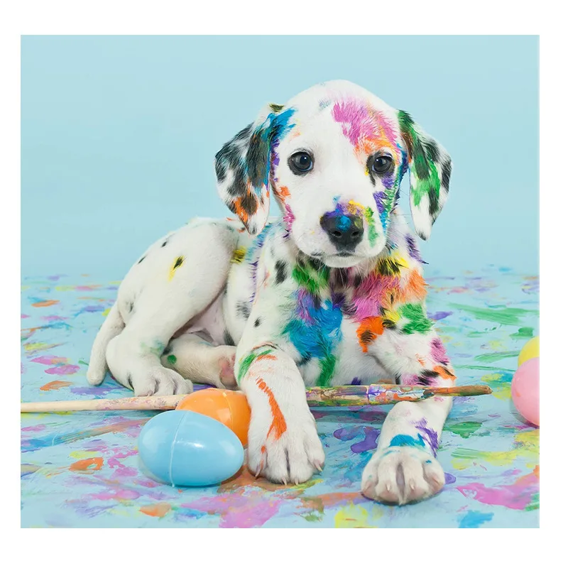 

5dDiamond Painting Full Diamond Dog Mosaic Pattern round Diamond Home DecorationdiyHand-Made