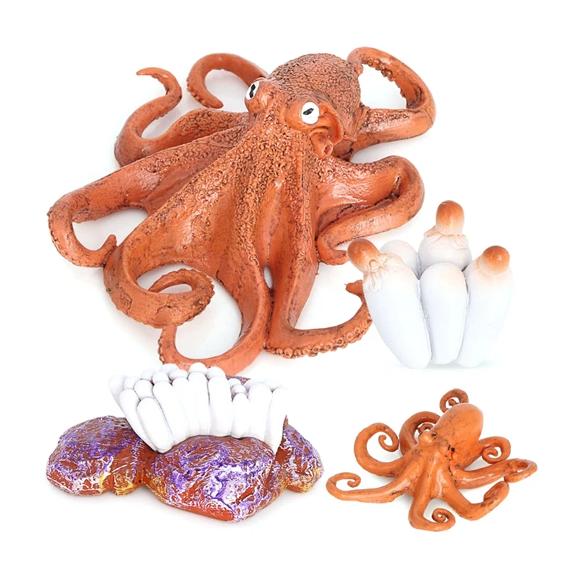

NEW-Octopus Growth Cycle,Animal Growth Cycle Biological Model For Kids Education Insect Themed Party Favors