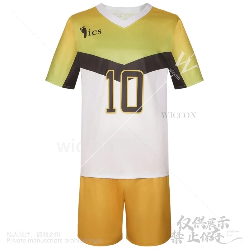 Аниме Институт Итаюамы униформа косплей Сакуса Киёоми костюм волейбольное