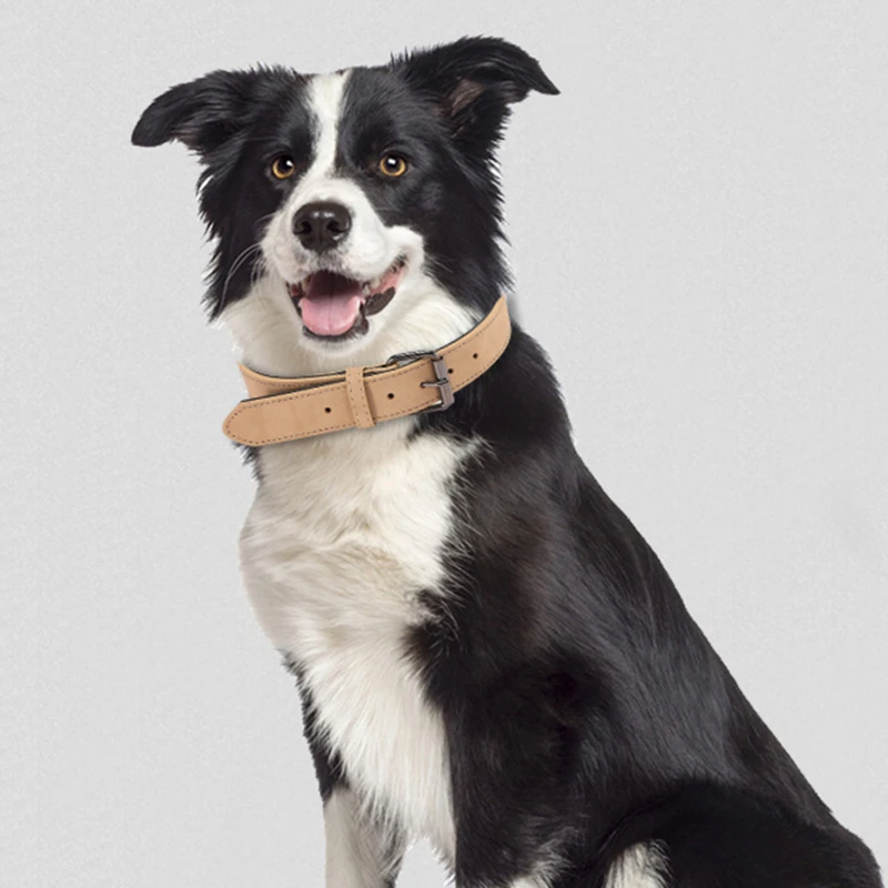 

Товары для домашних животных, ошейник для собак, пряжка из сплава, цепочка для собак, ожерелье для кошек, регулируемый размер для маленьких и...