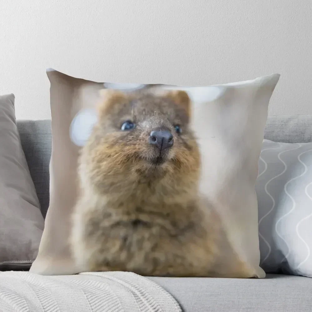 Декоративная наволочка Quokka 30x30 см