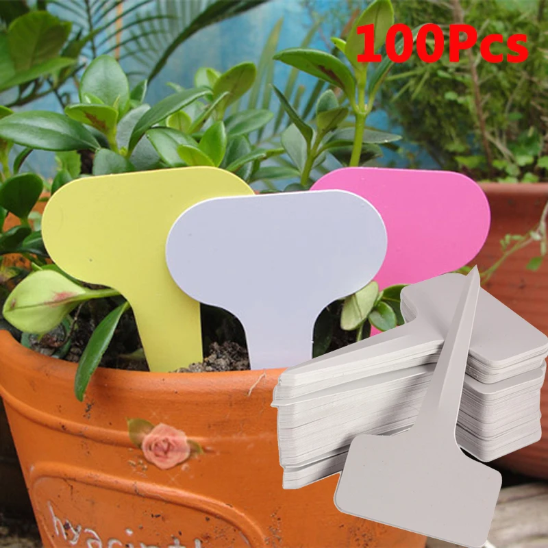 

100 Pcs Garden Labels Gardening Plant Classification Sorting Sign Tag Ticket Plastic Writing Plate Board Plug In Card White