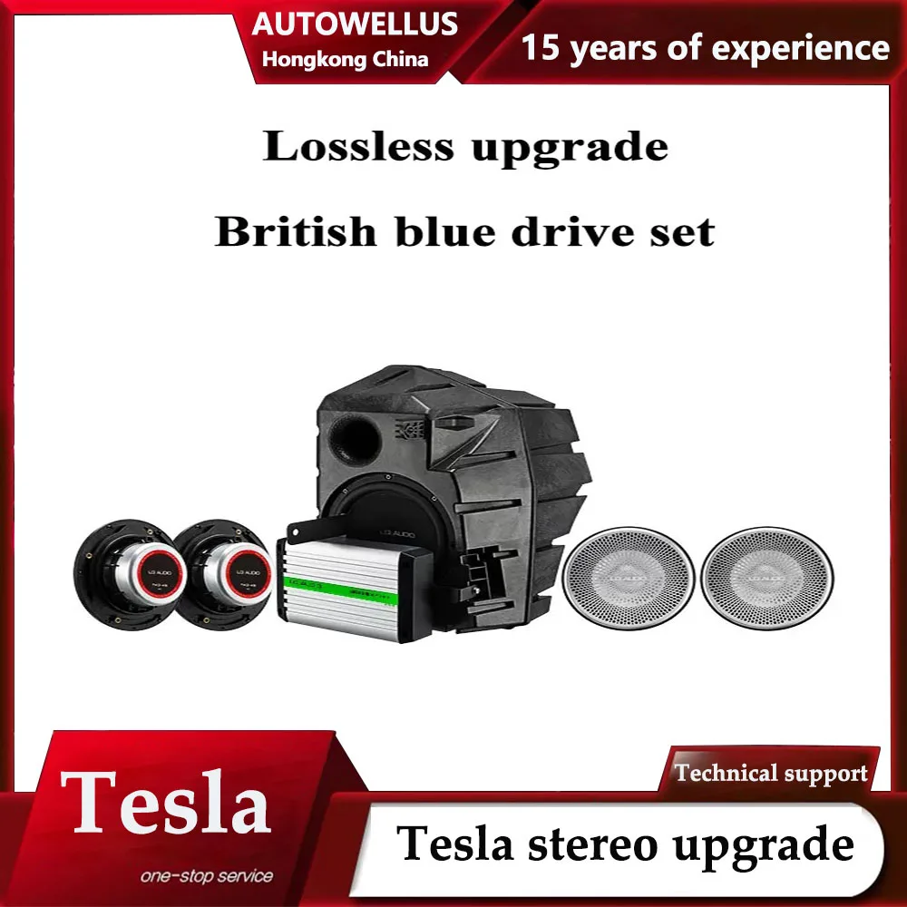 

Громкоговоритель для Tesla низкочастотный динамик Улучшенный высококачественный звук бас DSP стерео музыкальный усилитель сабвуфер динамики комплект громкоговорителей