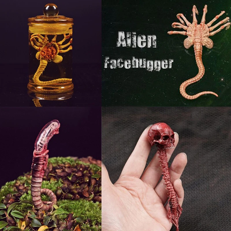 

Fire Girl Toys 1/6 Alien Chestburster Facehugger Model Iron Blood Warrior Special-shaped Contract Scene Props for Hobby Collect